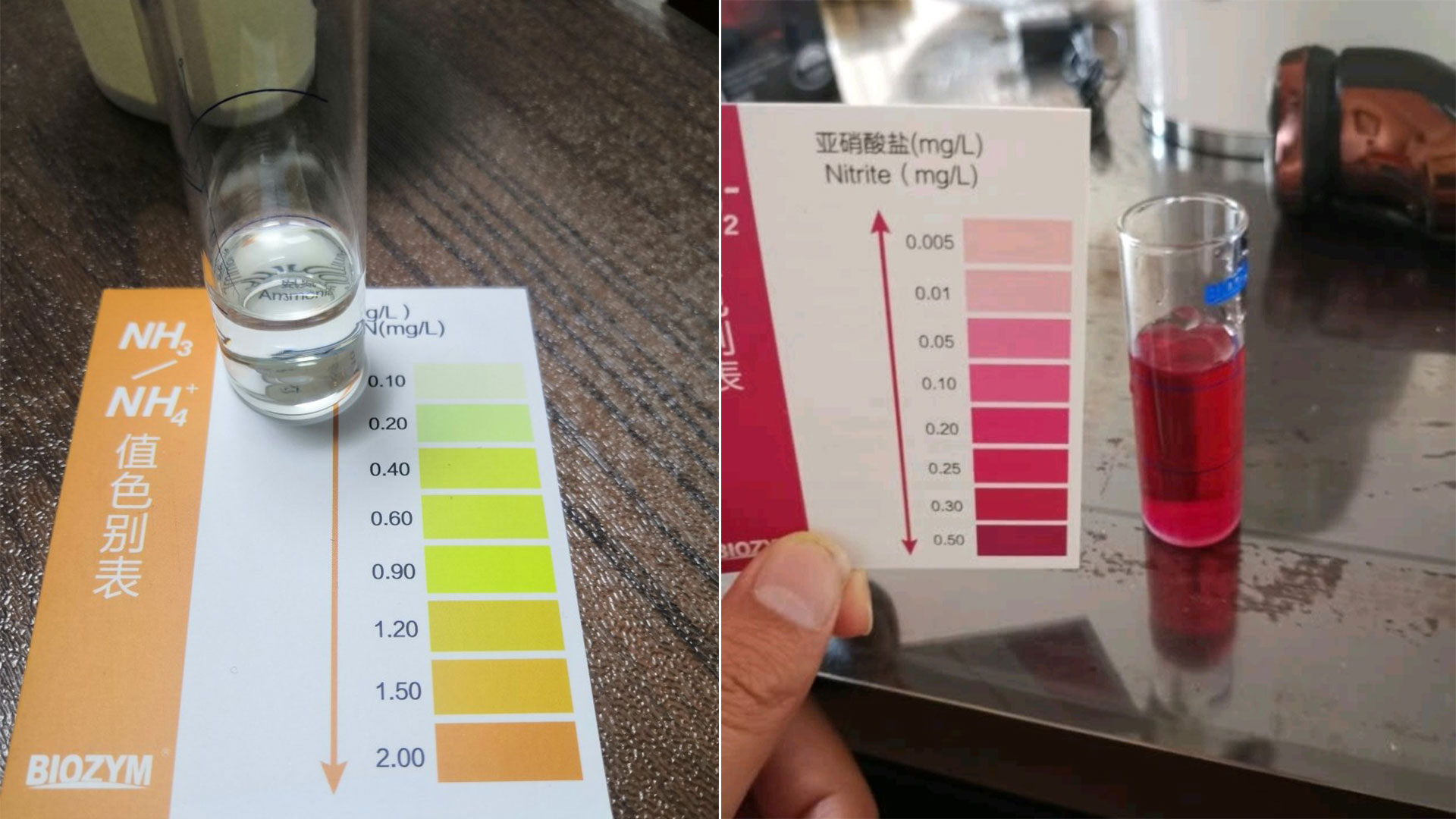 鱼缸硝化系统崩溃是什么原因,新鱼缸最快建立硝化系统时间