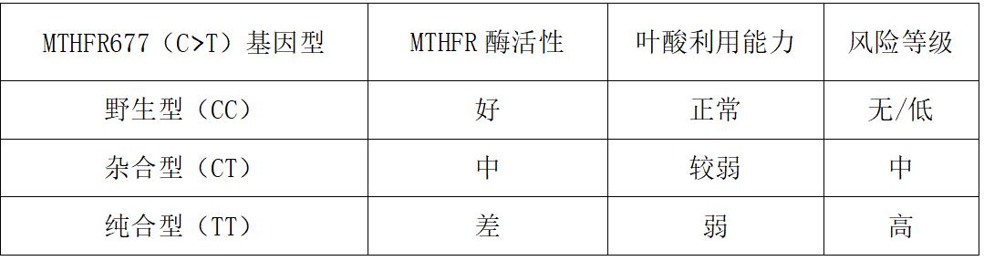 小瓶叶酸片的主要功效,叶酸片的功效主治
