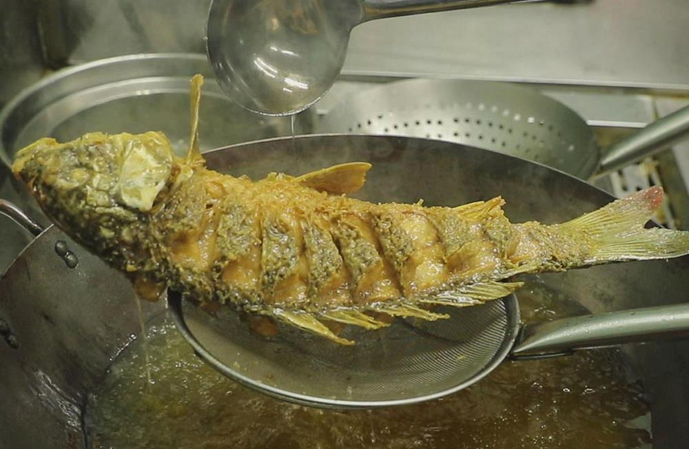 孕妇吃的优质蛋白食物有哪些,优质蛋白和高蛋白食物的区别