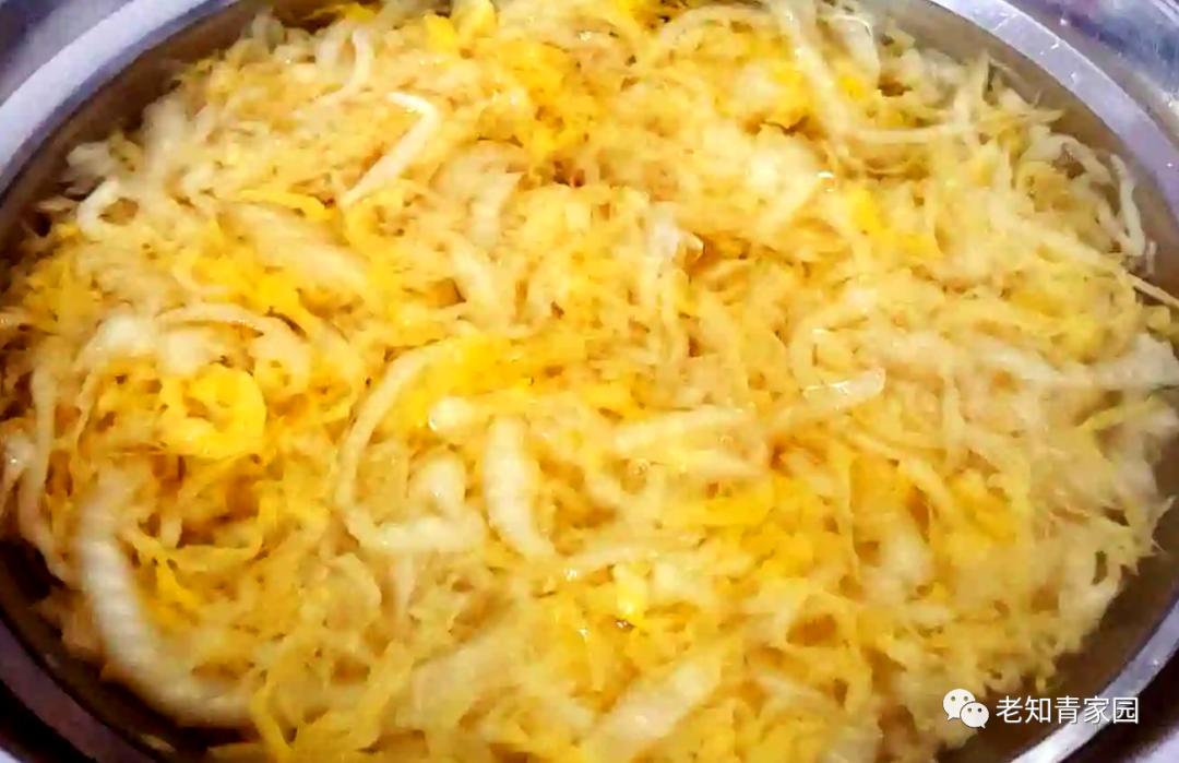 我的苦乐人生——下乡九年的蹉跎岁月