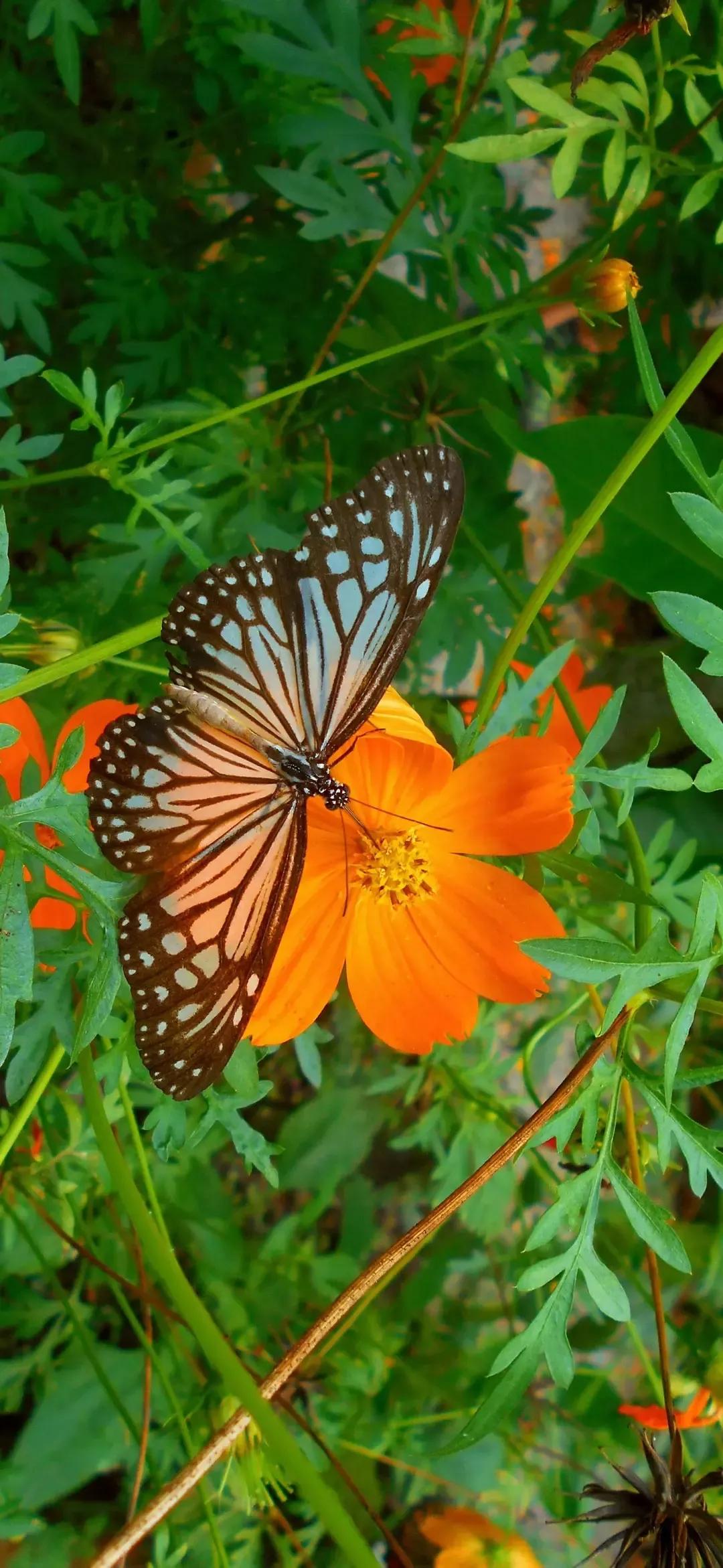 歼20高清壁纸4k全屏无水印,精选壁纸高清无水印高级感