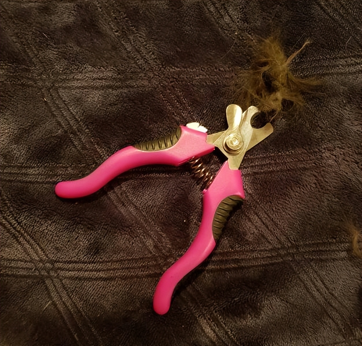 10个创意生活小窍门图片,有趣的生活窍门