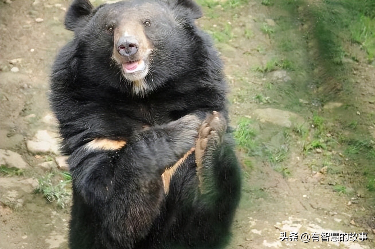 古代志怪传奇——韦自东护道