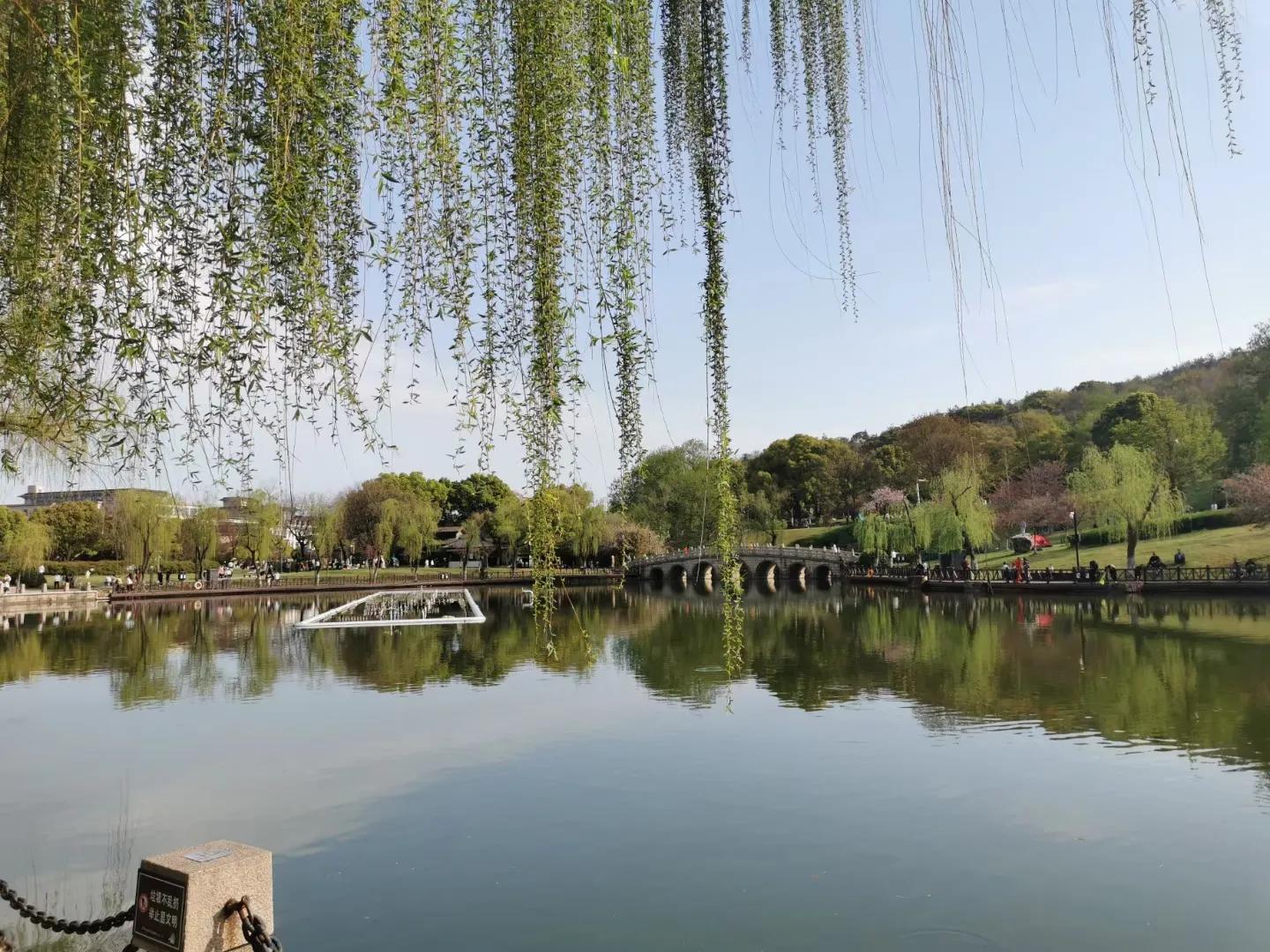 寰愬窞鍒伴噸搴嗗叚鏃ユ父,浠庡緪宸炲幓鏃犻敗鏃呮父