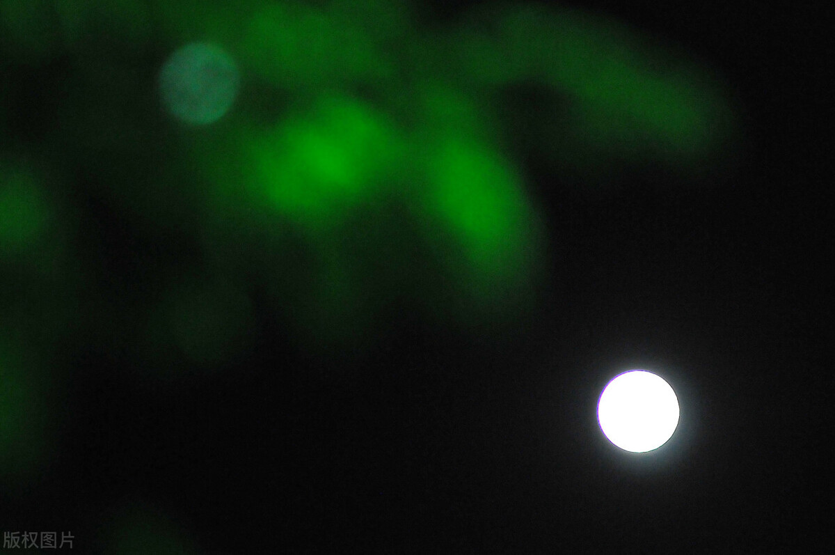 纪念中元节最佳诗词,有关中元节风俗文化的诗词