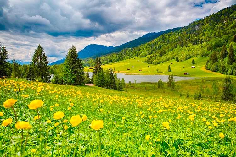 人生难得静心,人生难得清净心