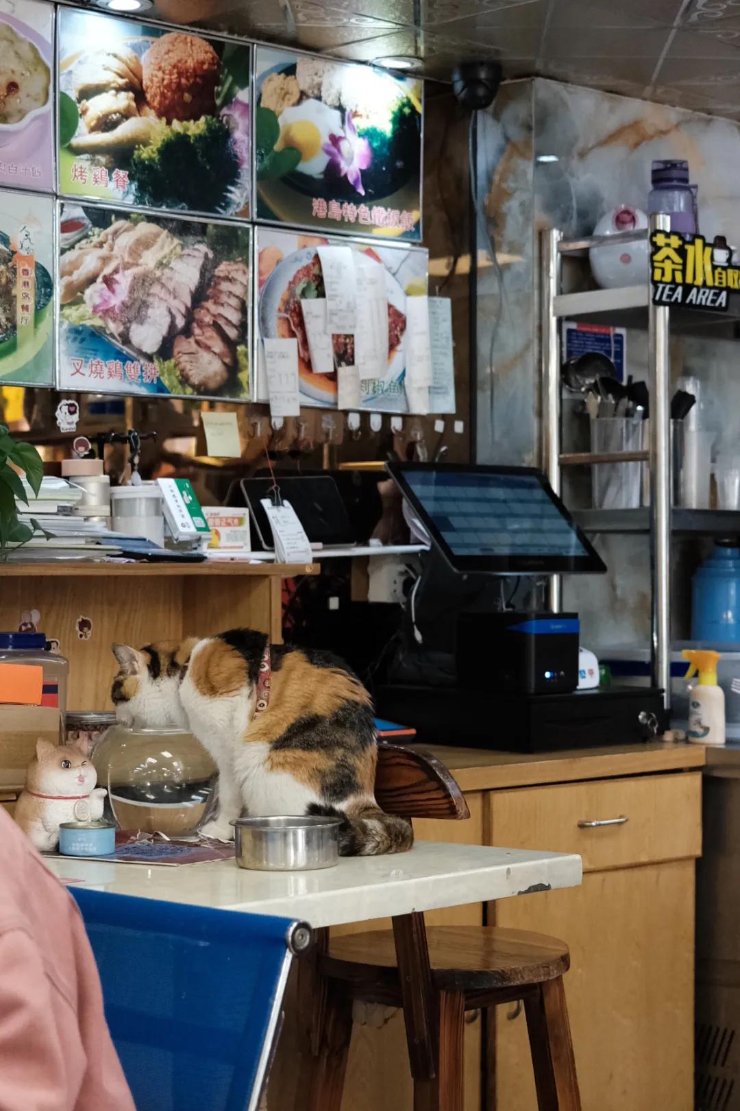 香港老字号探店,一个探店的老爷爷