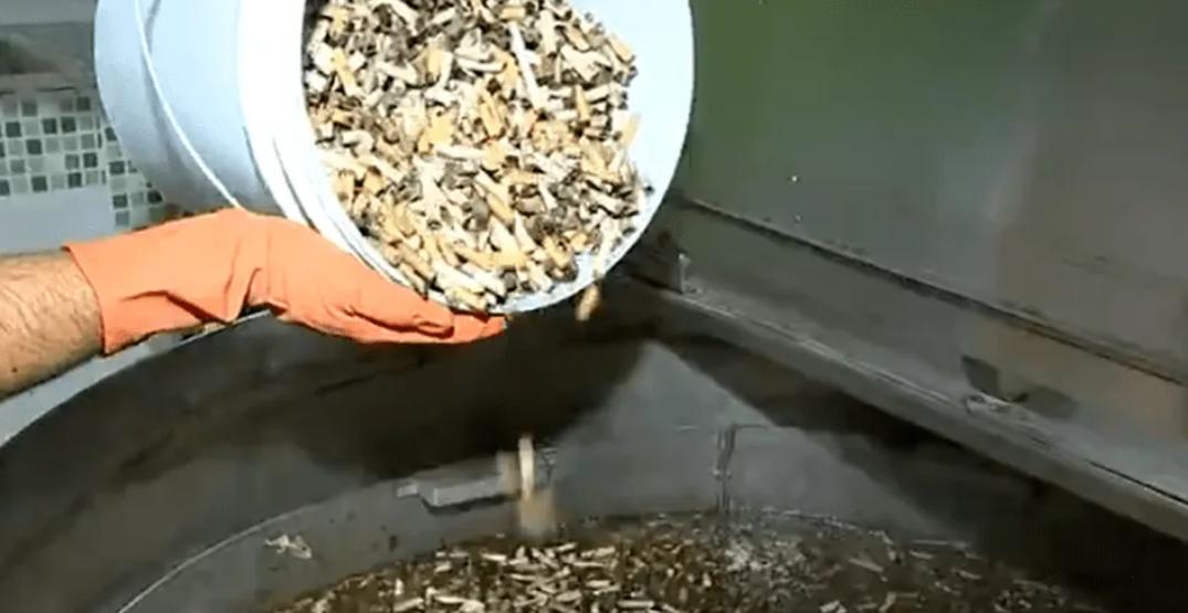 日本回收中国烟头价格,一公斤烟头能卖多少