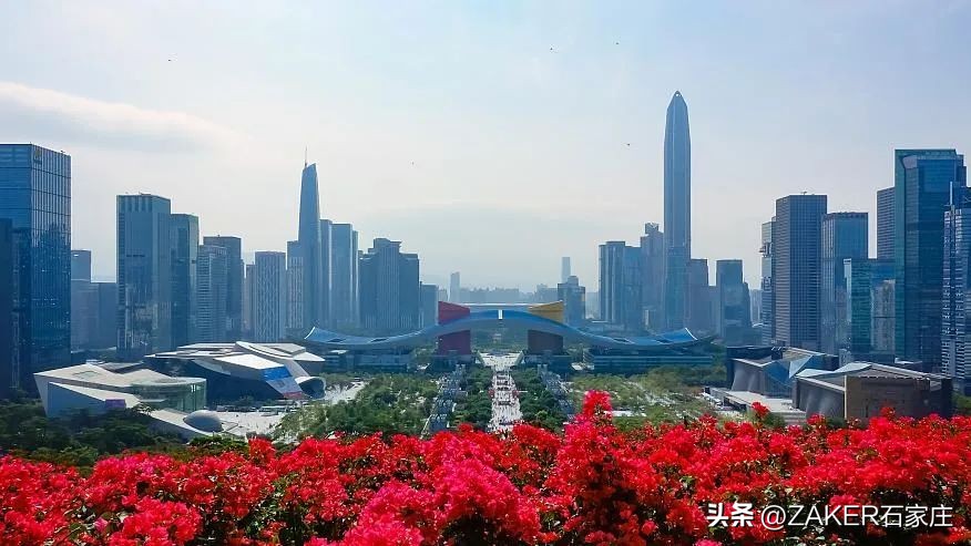 早新闻1.31|退役军人高考加分政策来了;河北省成人高考(延考)公告发布;石家庄8家入选省级旅游休闲街区