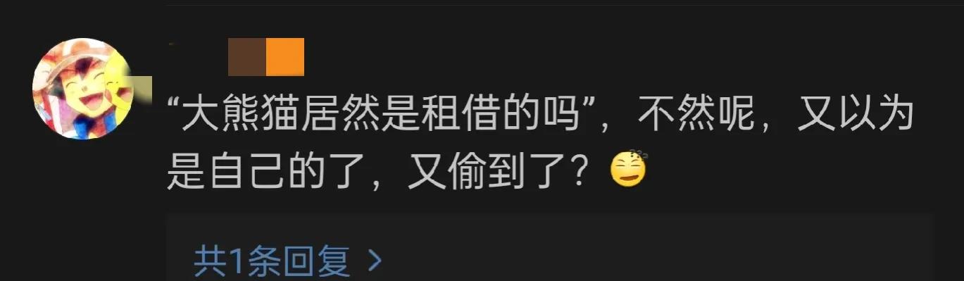 大熊猫福宝即将回国，网友提议：就养在韩国，别回来了！