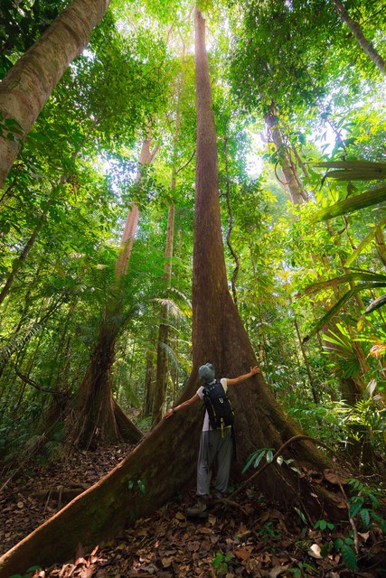 上海迪士尼乐园，打卡攻略全揭秘！别错过这些拍照点