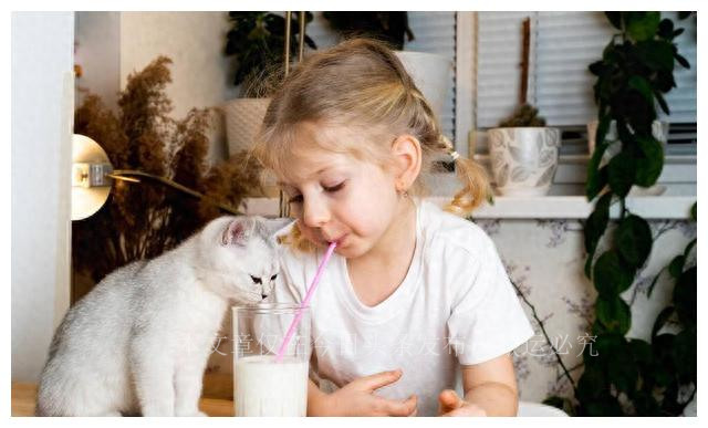 股市分红除权除息实例讲解,现金分红股票除权除息怎么算