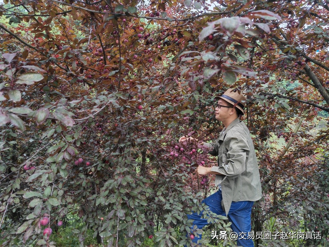 2016年后，我突然明确我在交易上想要什么利润，让我赚到百万