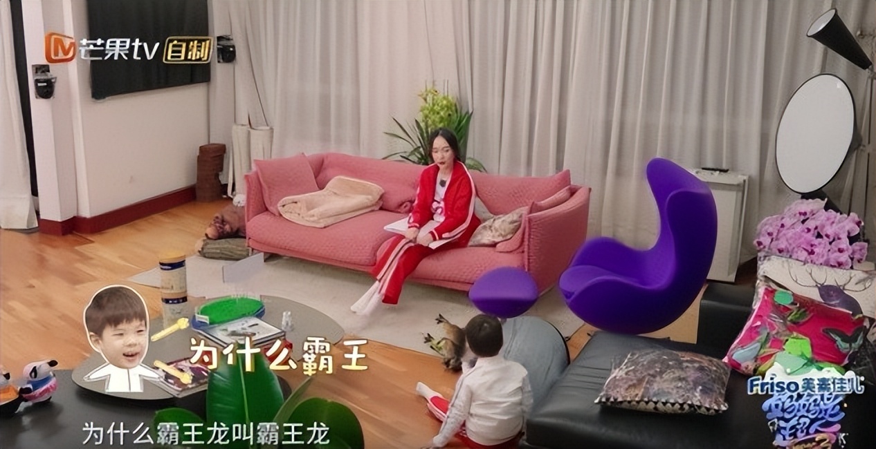 霍思燕豪门捞金,霍思燕富婆