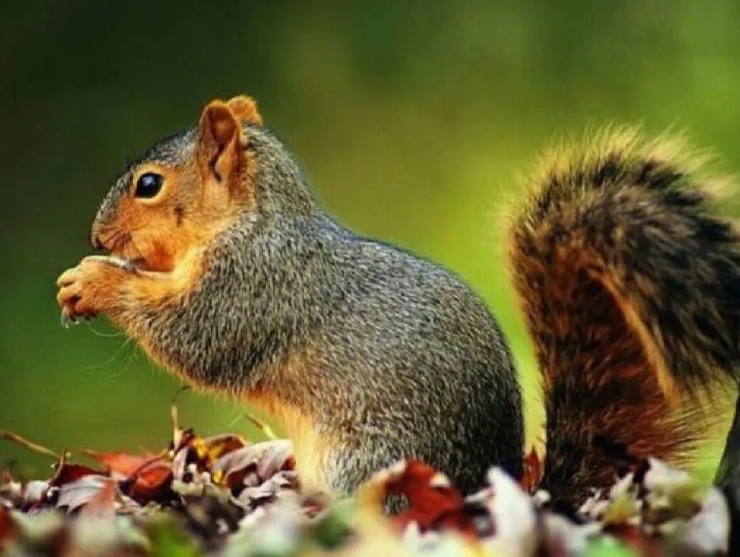 道的认知,道的七种层次