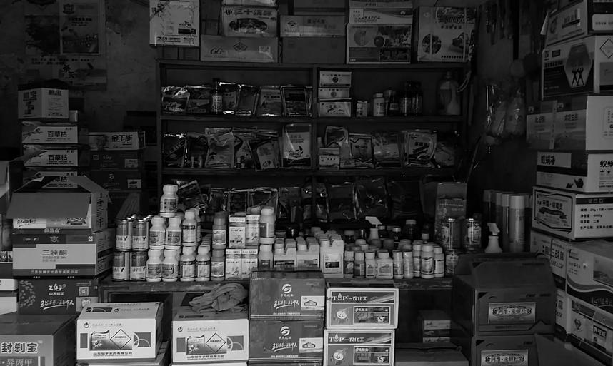 17岁女生殉情真实事件,17岁少女为爱殉情