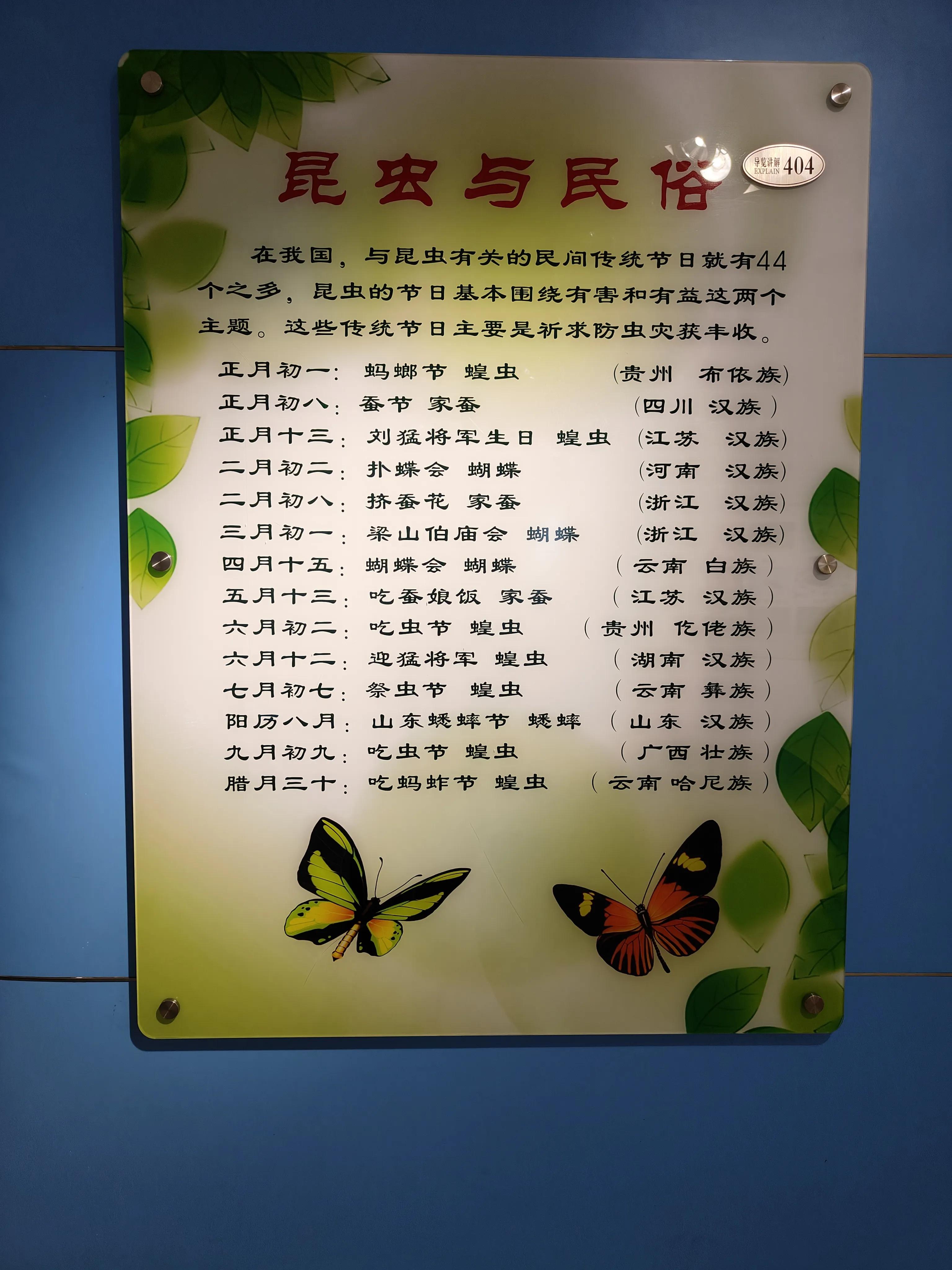 神兽暑假去哪玩,神兽暑假生活