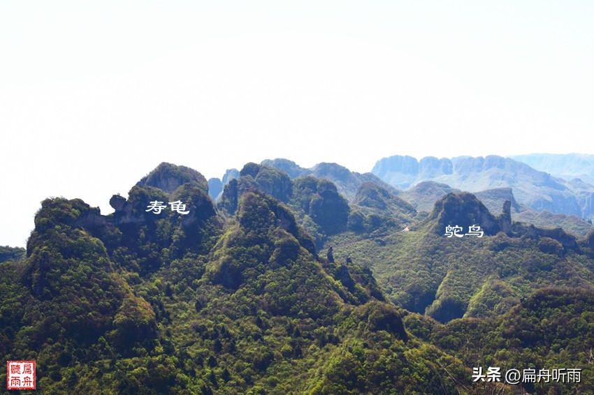 太行王莽岭简介,太行山王莽岭