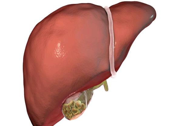 长期的药物肝损伤有什么危害,长期吃药肝损伤要检查什么项目