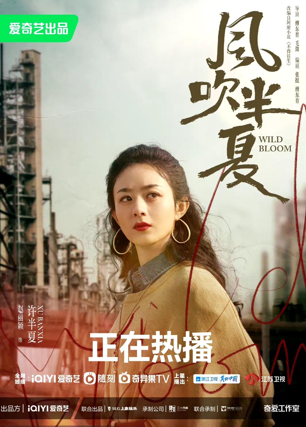 乱点鸳鸯谱电视剧赵丽颖演的,古装电视剧100部赵丽颖