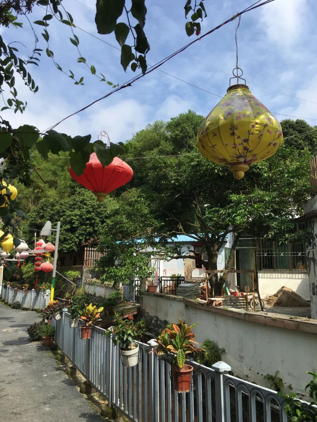 《旭光骑行深圳》第22站——龙华区观湖街道