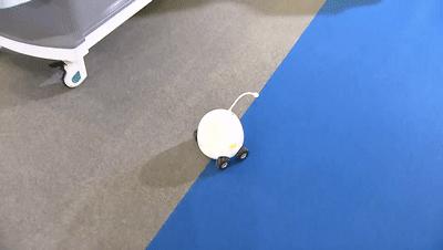 伴宠机器人自动陪玩、迷你胶囊装镜头…硬核“黑科技”产品云集|探营高交会