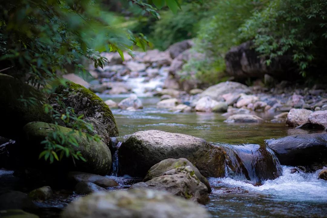 1.5h刹拢！被誉为川版“花城”，这个宝藏好耍地美得不像话