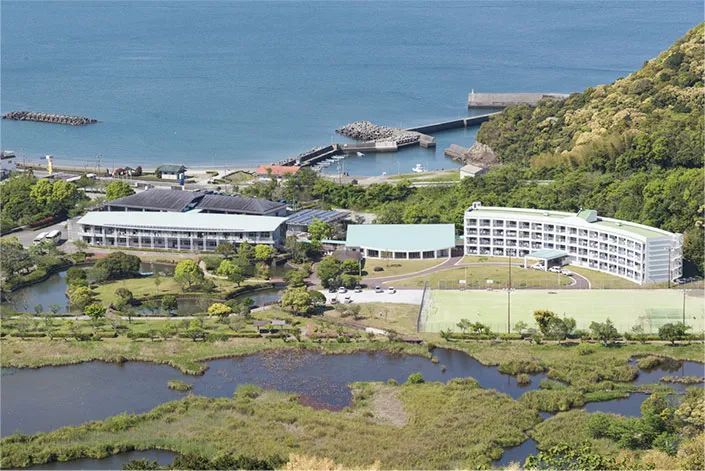 去日本读高中需要多少钱,日本读高中真实感受