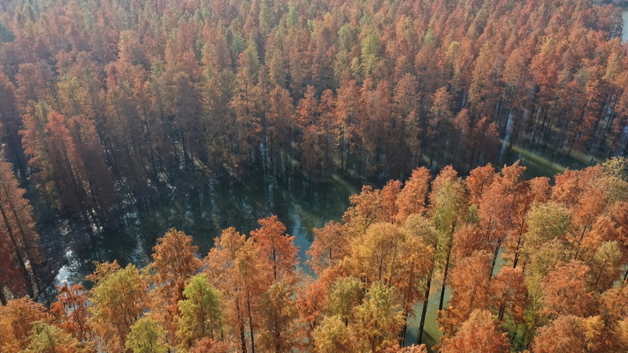湖北宝藏旅游景点,湖北的宝藏旅行地恩施