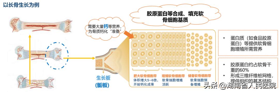 最新儿童身高标准表快收藏,春季孩子身高暴涨期