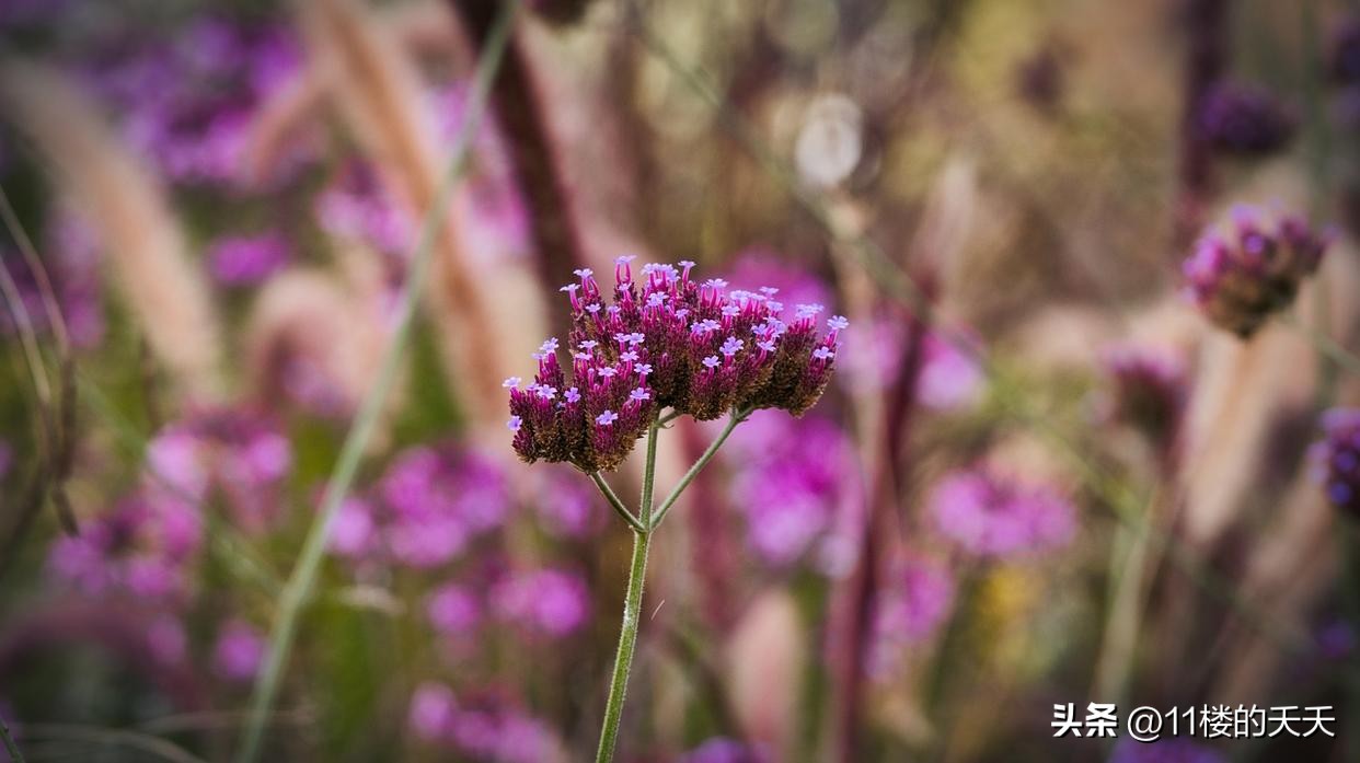不联系的微信好友是删除还是拉黑,没有联系的微信好友要不要删除