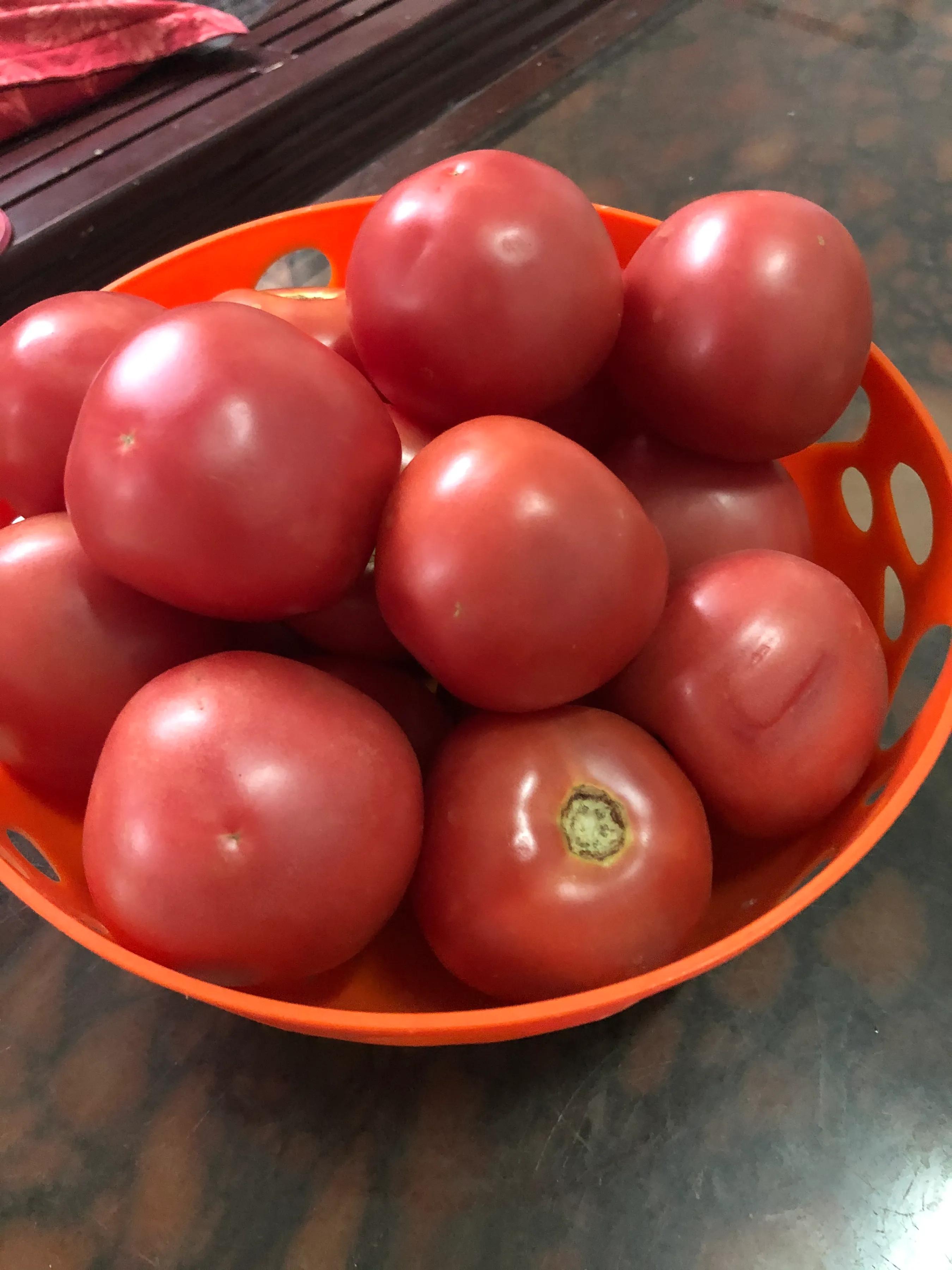 健忘症什么意思,健忘症要怎么治疗