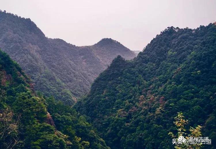 温州市2022年人口最多的镇,温州市各乡镇人口排名