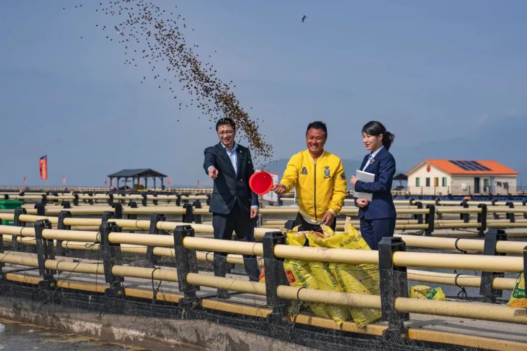 厦门国际银行开拓普惠金融,厦门国际银行第5个五年规划