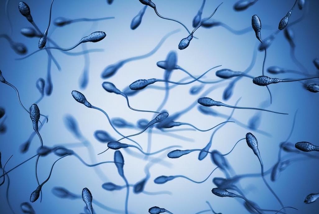 一位单身女青年的疑问：同房时，男人尿尿和射精会同时发生吗？