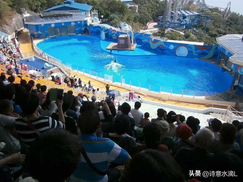 1987年我去香港探亲，申请繁琐过关费时口吐怨言，回程却说值得