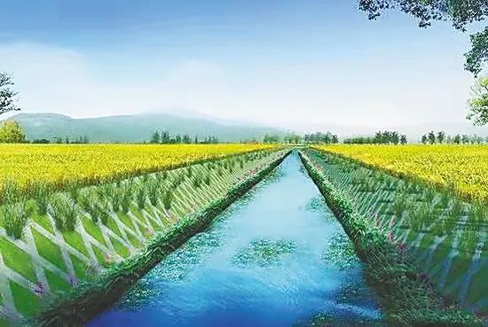 海南封关政策对农民有什么影响,海南封关后对岛内农业有何影响