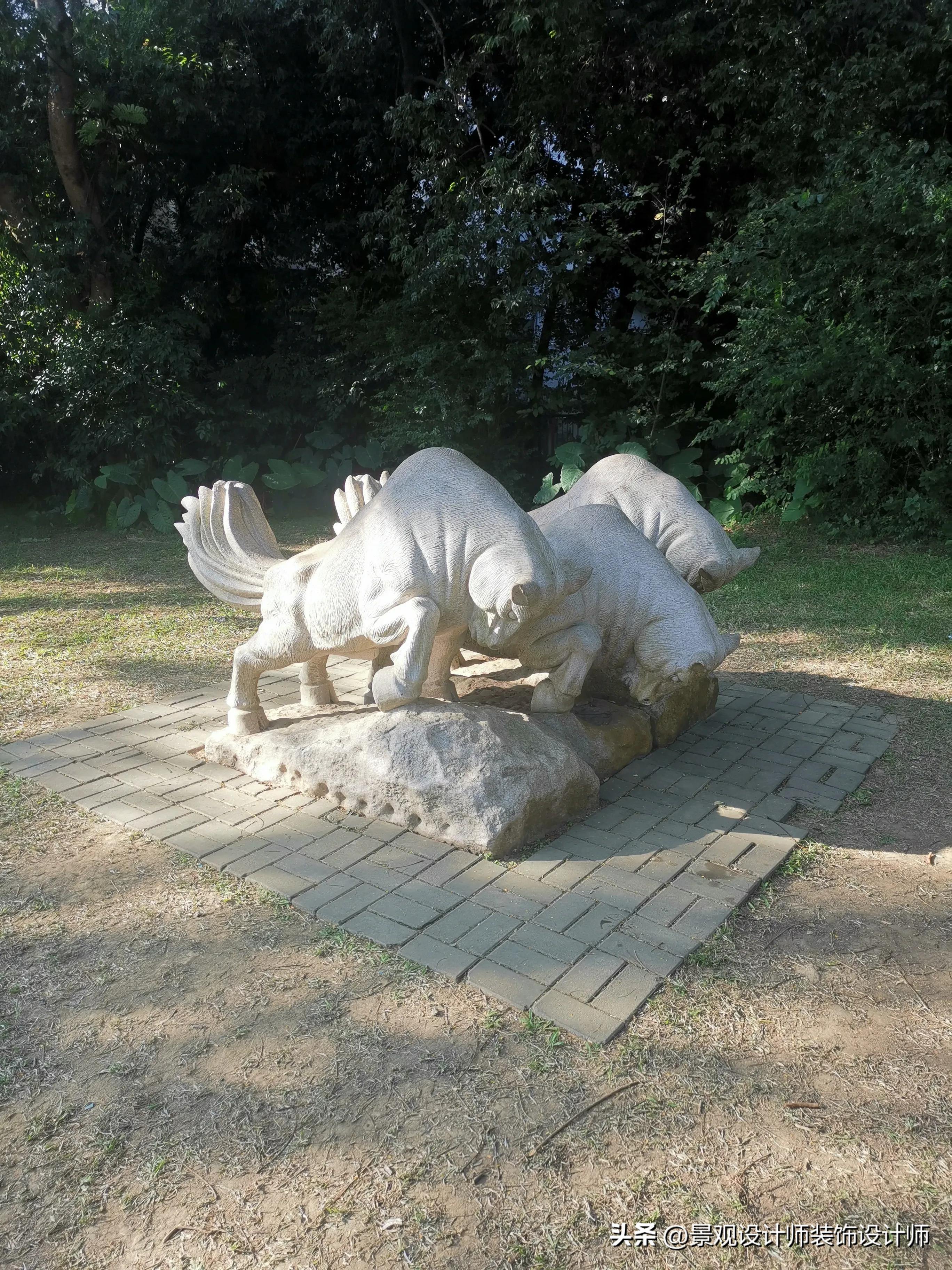 深圳市东湖公园广场舞,深圳市东湖公园收费标准