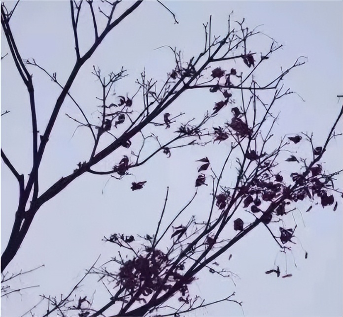 悄悄告诉你，来交大希望学院不能错过这站！