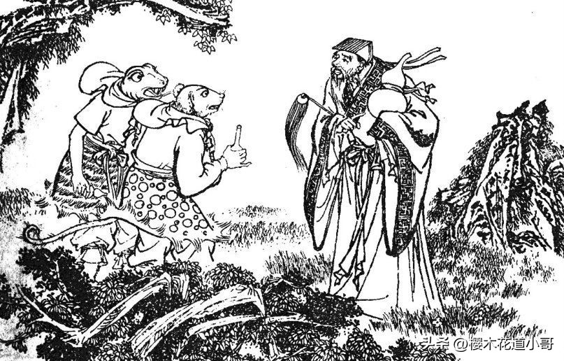 西游记天罡地煞108变解释,mud西游攻略