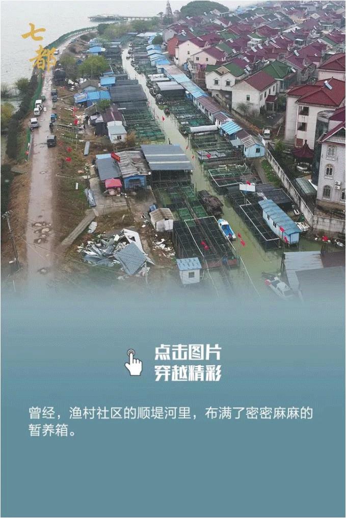 非凡十年|七都镇：全力打造新时代鱼米之乡现实模样