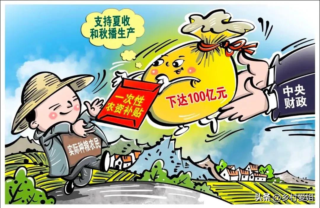 种粮农民一次性补贴是什么钱,发放实际种粮农民一次性补贴资金
