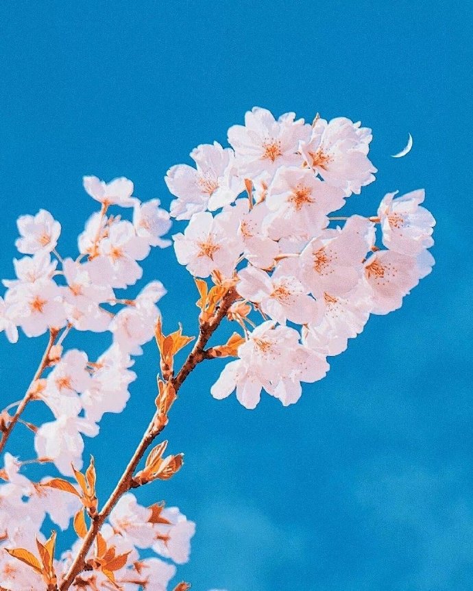 人生最好的投资是对妻子好,巴菲特最好的投资就是选对妻子