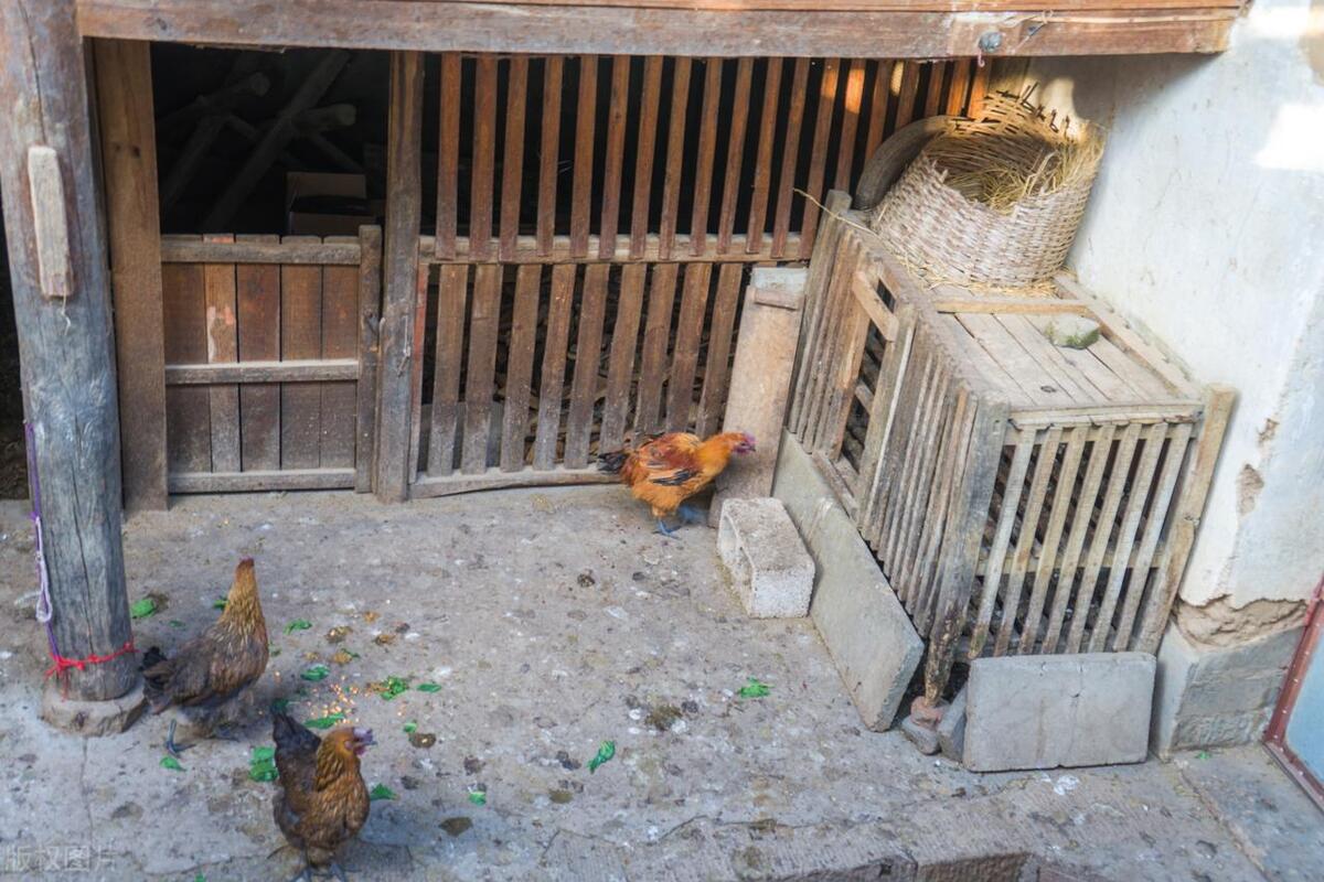 农村集市假货一览表,农村集市上的假货有哪些