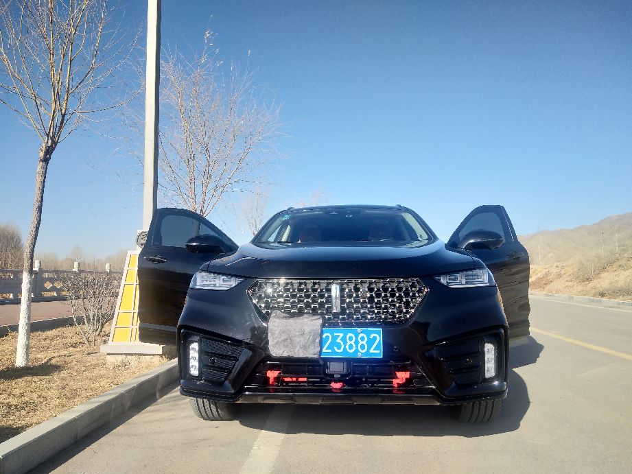 长城汽车费油吗,长城汽车都那么费油吗