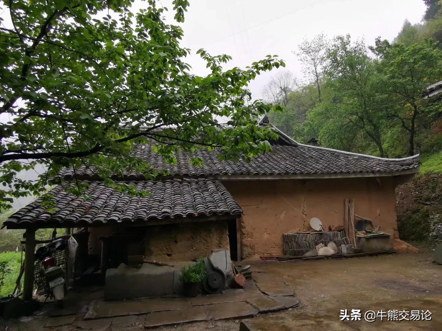 期货交易大佬20年实战,期货交易大佬的经历有哪些