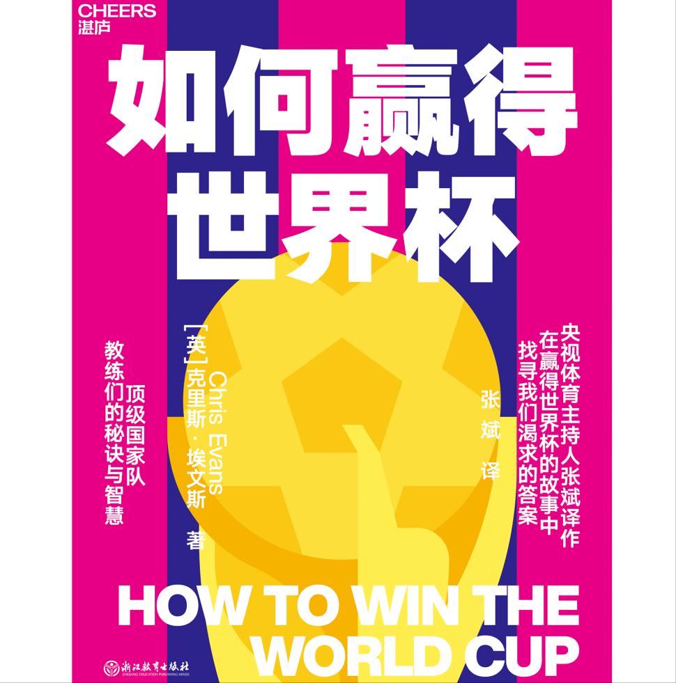 张斌足球世界杯视频,张斌世界杯厉害