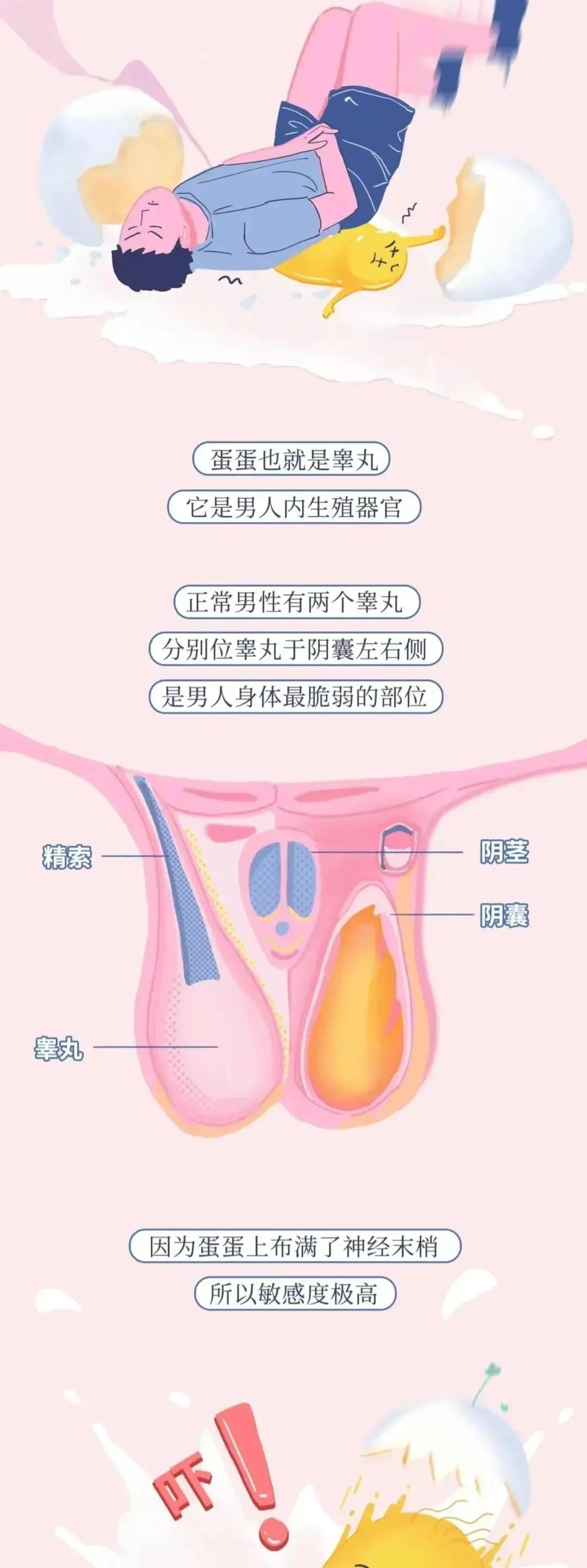 男生的“蛋蛋”真的很脆弱！女生一定要好好了解