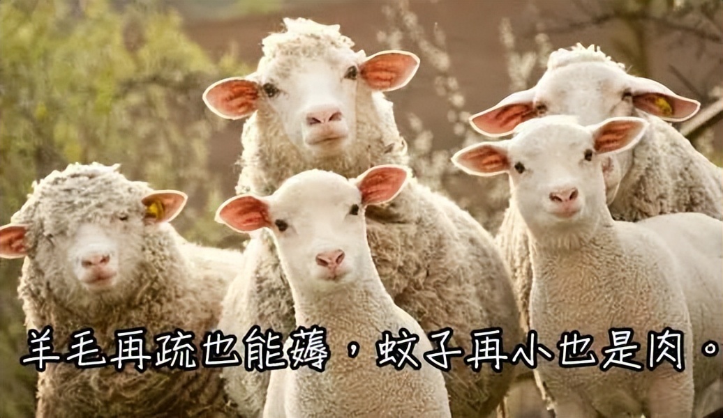 小心这种“网购刺客”！只接单、不发货的那种