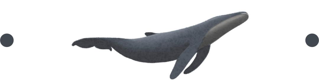 揭秘赌石直播间,直播间赌石卖高价